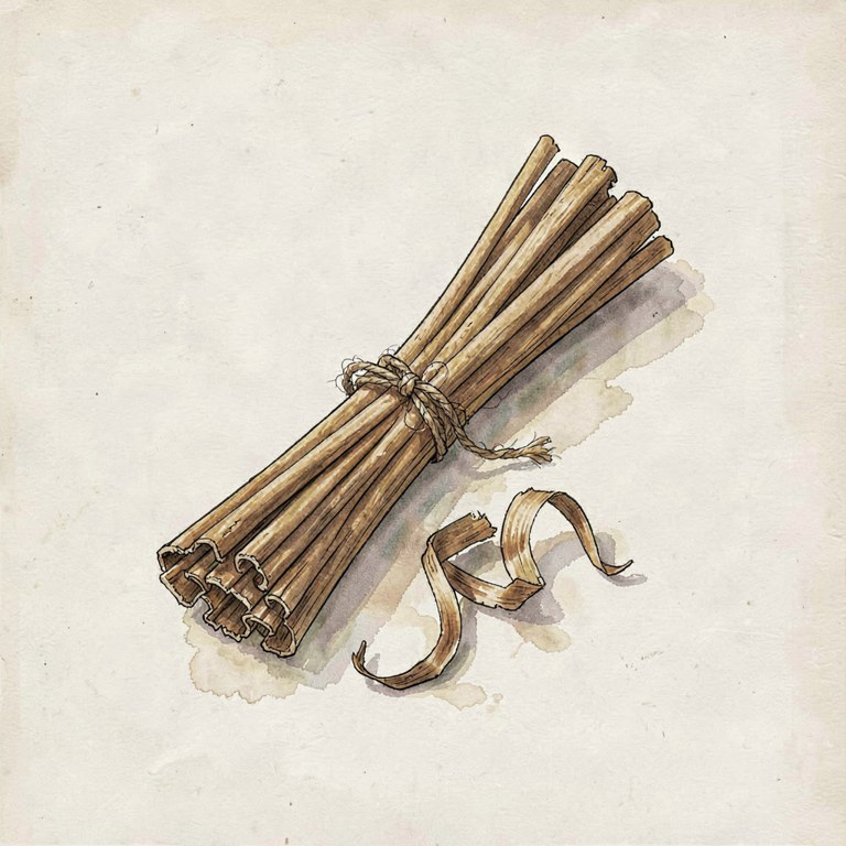 Cinnamon Bark