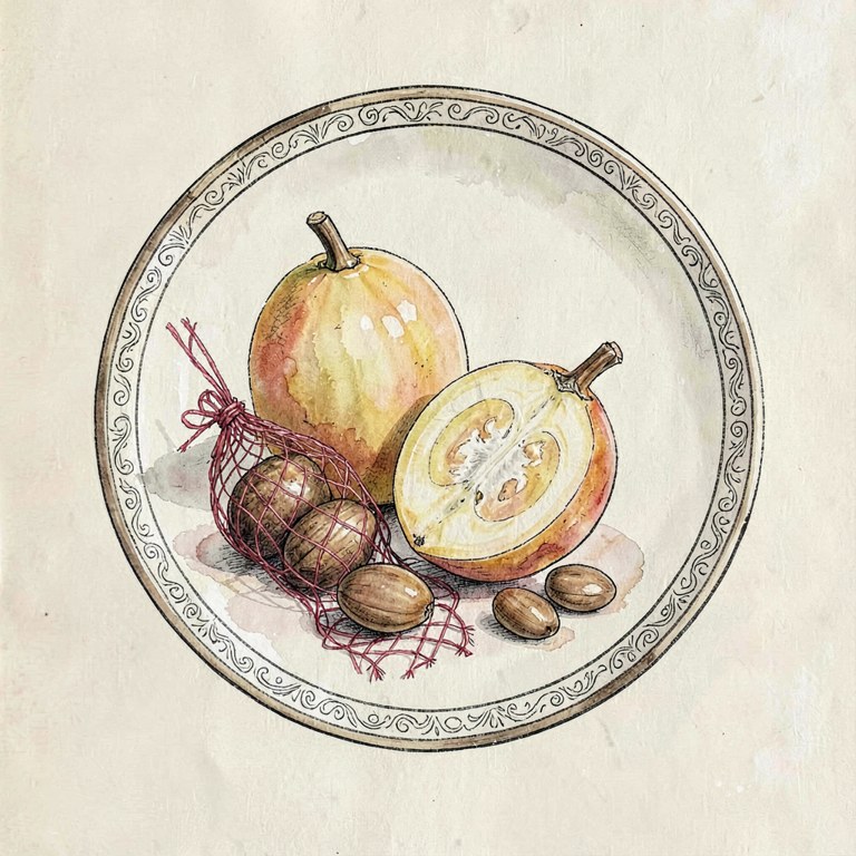 Nutmeg