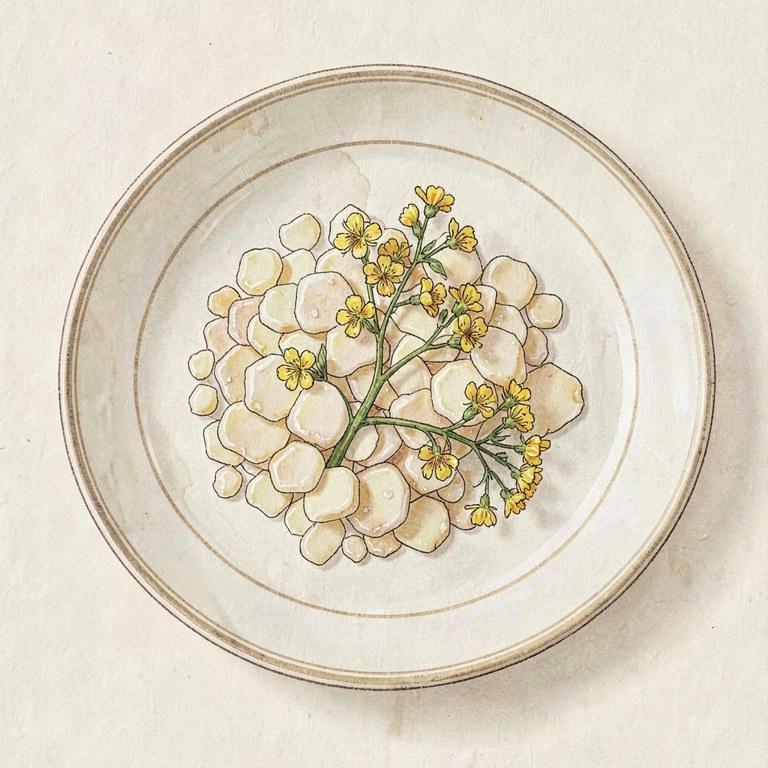 Rapeseed (container)